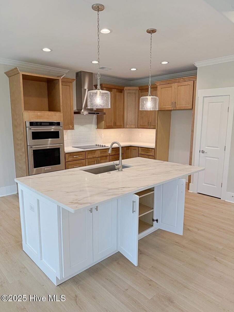 453 Motts Forest Road, Unit LOT 70) Wilmington, NC 28412 - Photo 29 of 54 Front cabinets on Island