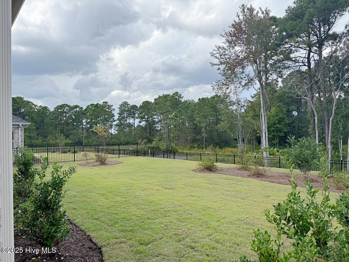 453 Motts Forest Road, Unit LOT 70) Wilmington, NC 28412 - Photo 49 of 54 Chase Ext 9.16 -IMG_1309