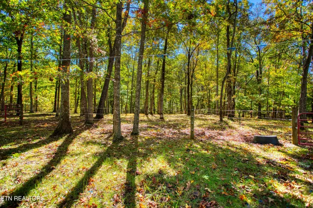 $220,000 | 273 Spruce Creek Drive, Jamestown, TN 38556