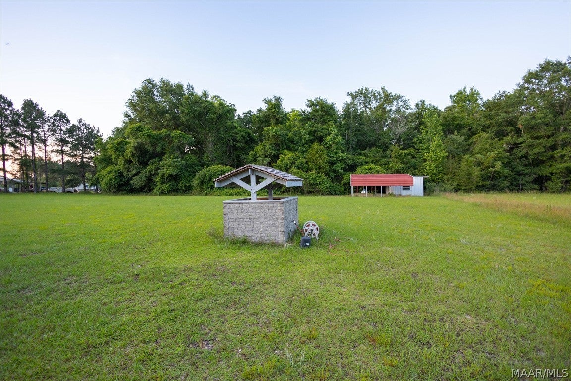 921 Mixon Miller Road Samson, AL 36477 - Photo 52 of 54 Gallery Image 52