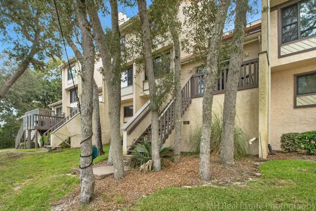 a view of a tree with a yard