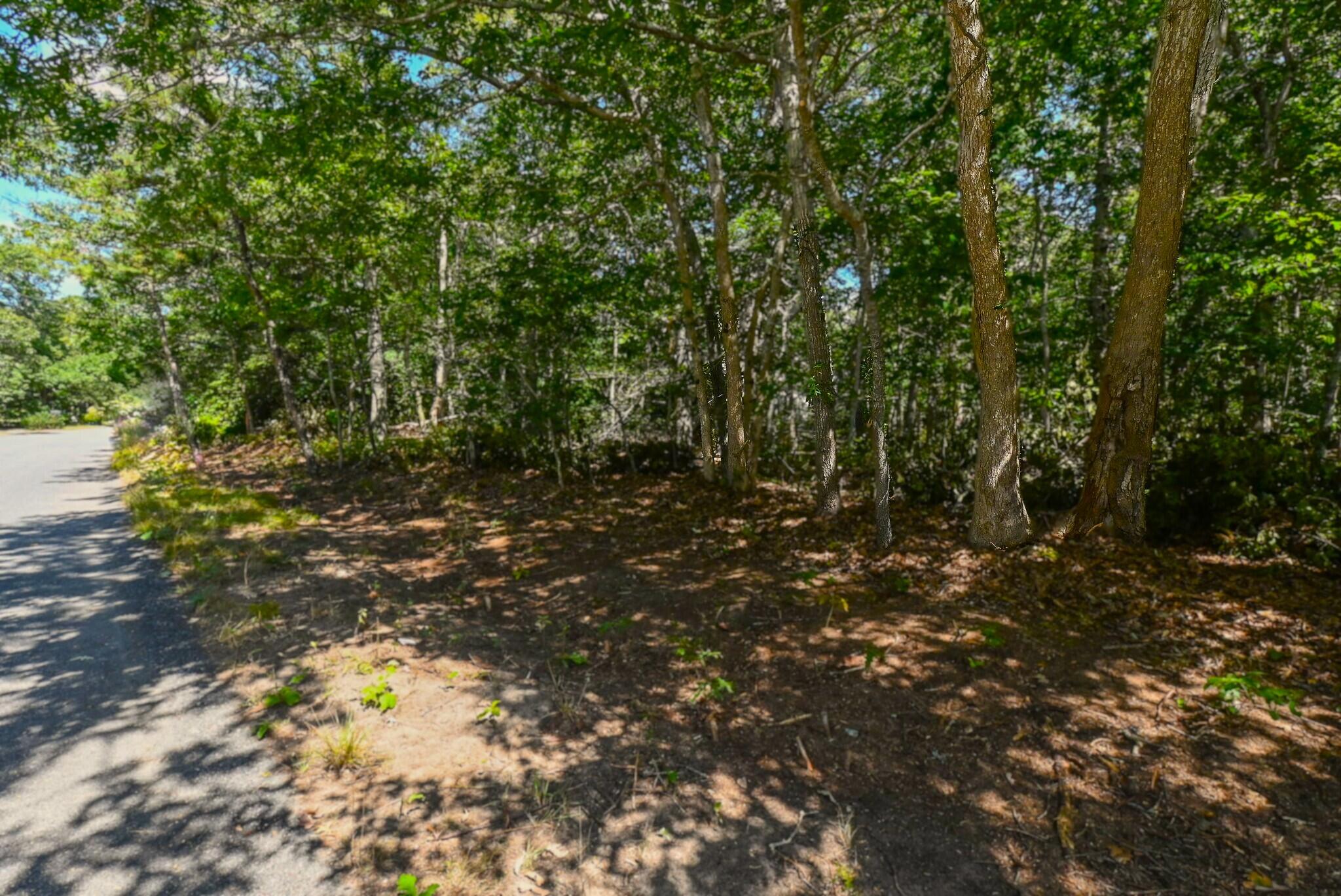0 Commons Way Brewster, MA 02631 - Photo 6 of 13 a view of a tree