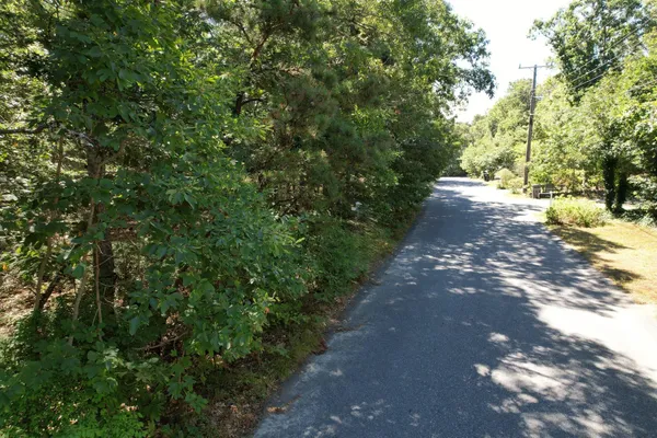 a view of a street with a trees