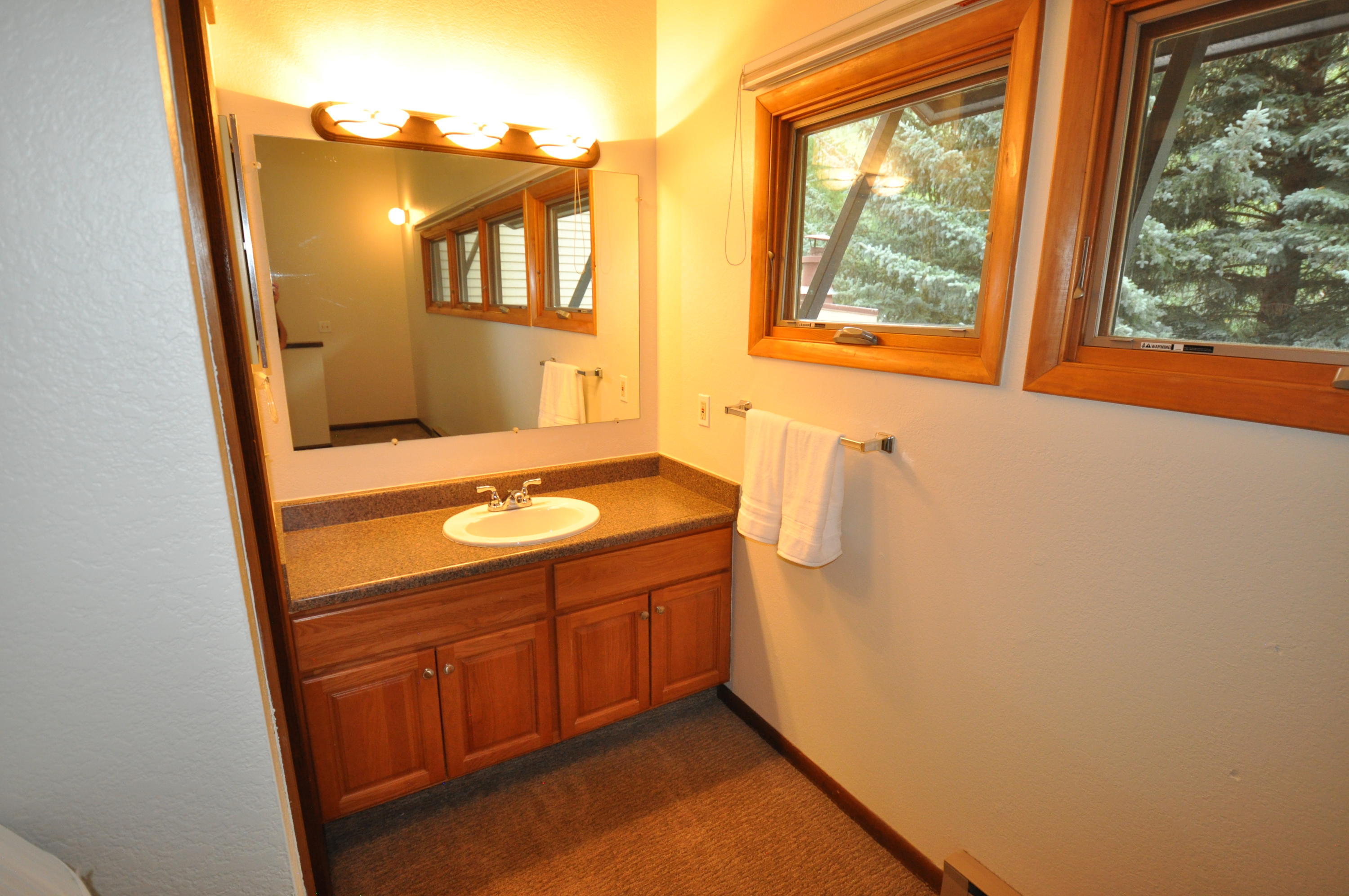2743 Kinnickinnick Road, Unit A4 Vail, CO 81657 - Photo 27 of 28 DSC_0206