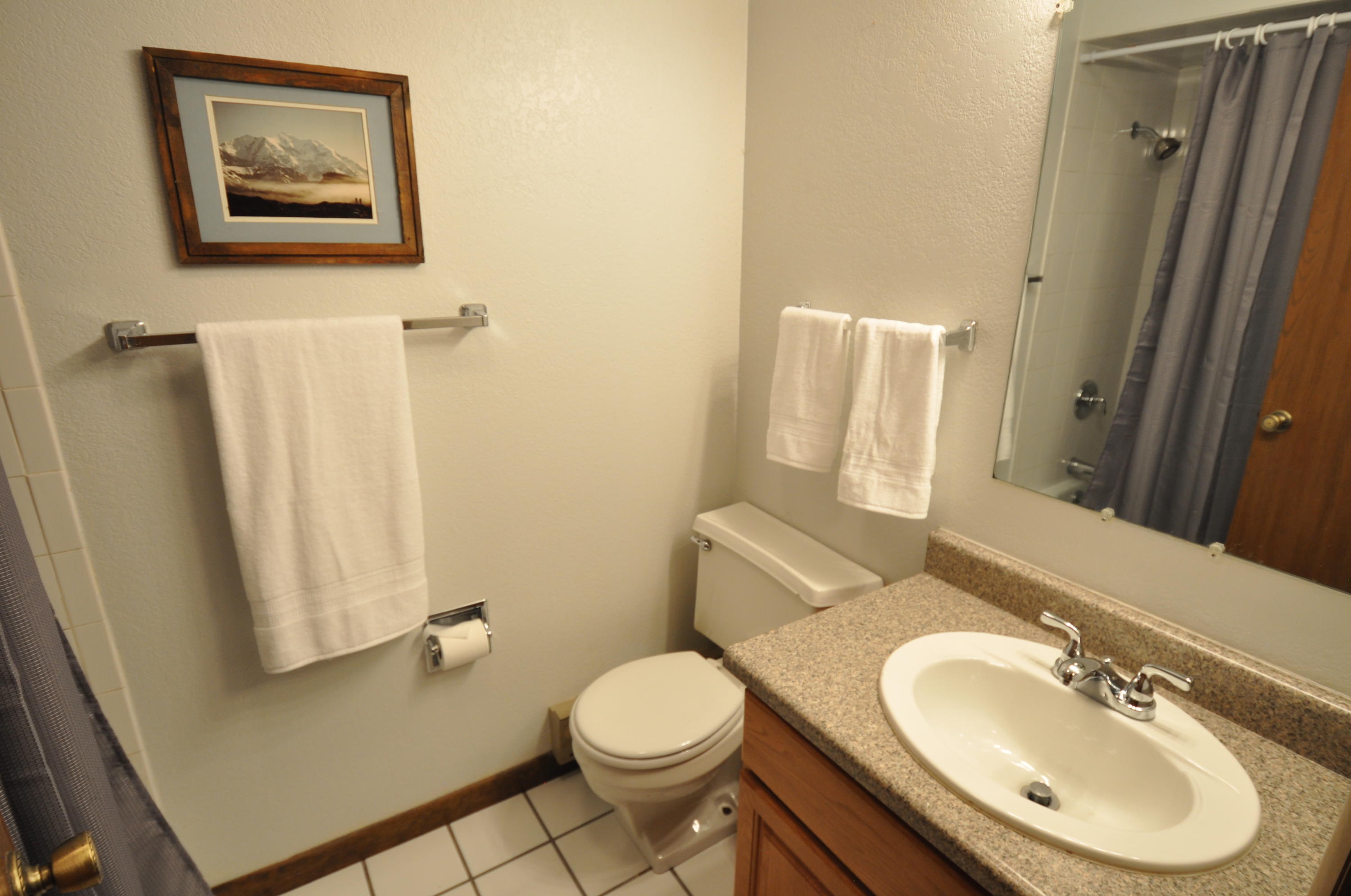 2743 Kinnickinnick Road, Unit A4 Vail, CO 81657 - Photo 7 of 28 DSC_0186