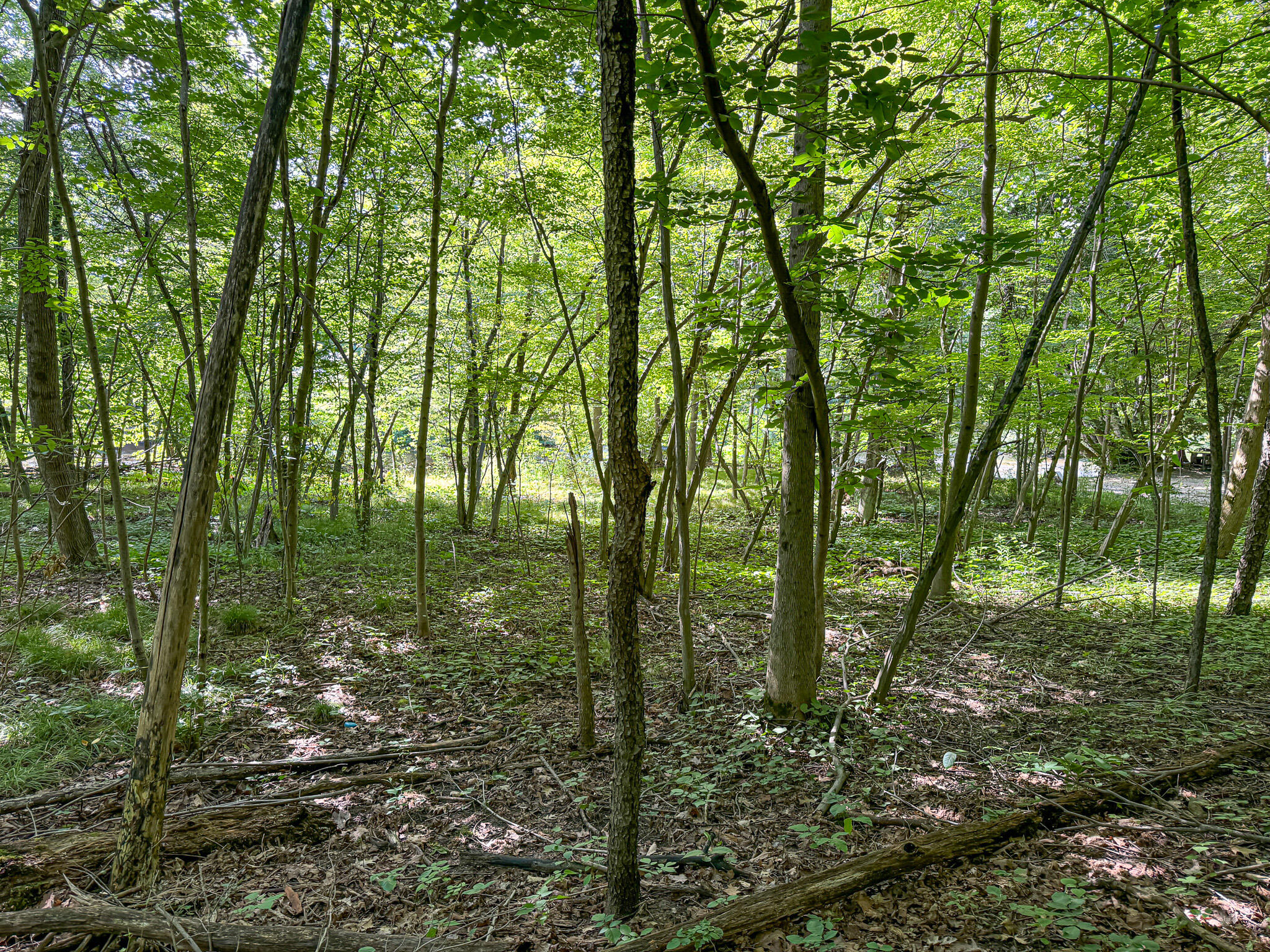 0 East Garfield Road Hesperia, MI 49421 - Photo 11 of 19 IMG_6586