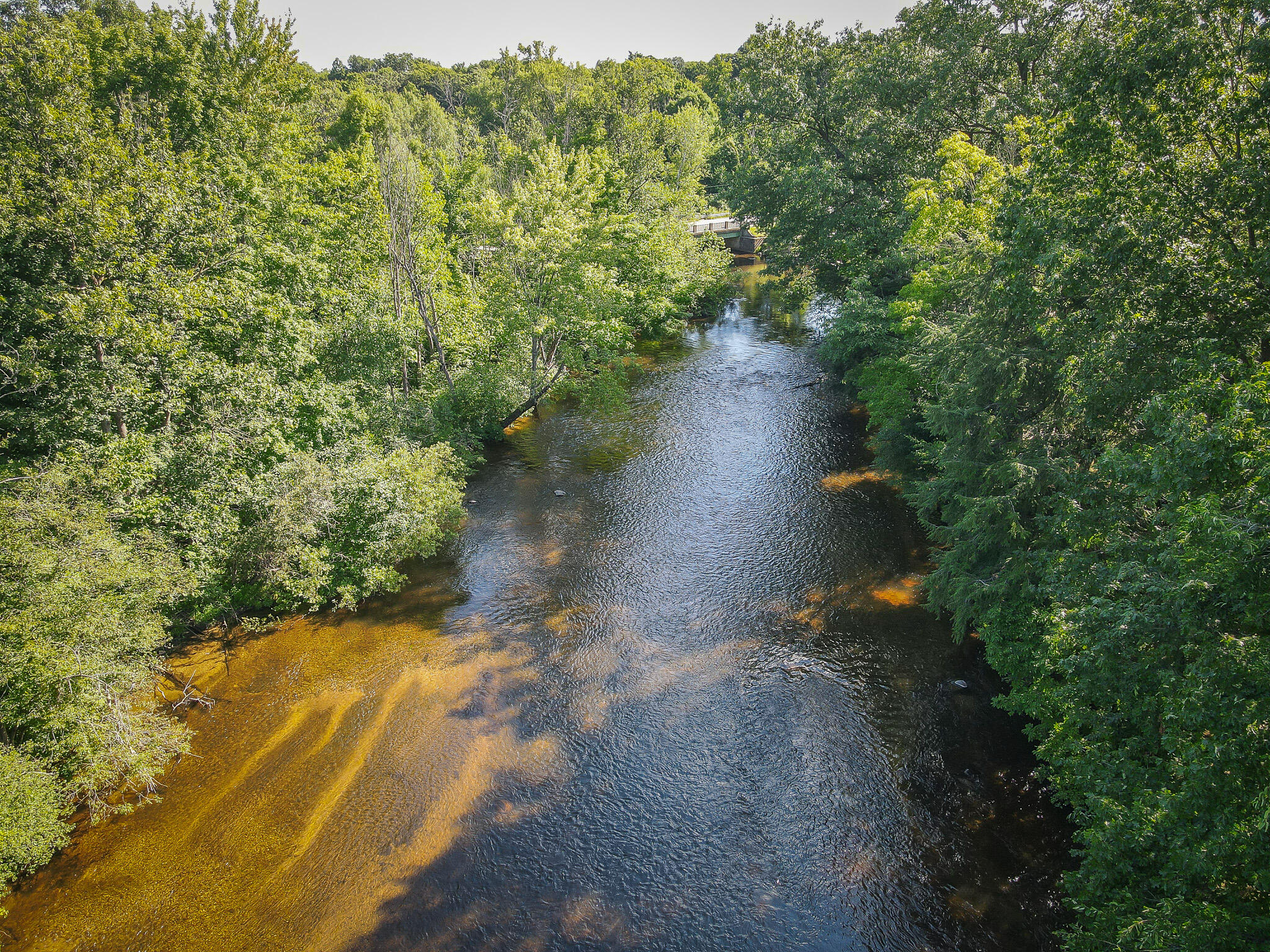 0 East Garfield Road Hesperia, MI 49421 - Photo 4 of 19 dji_fly_20240718_100902_360_172131179410