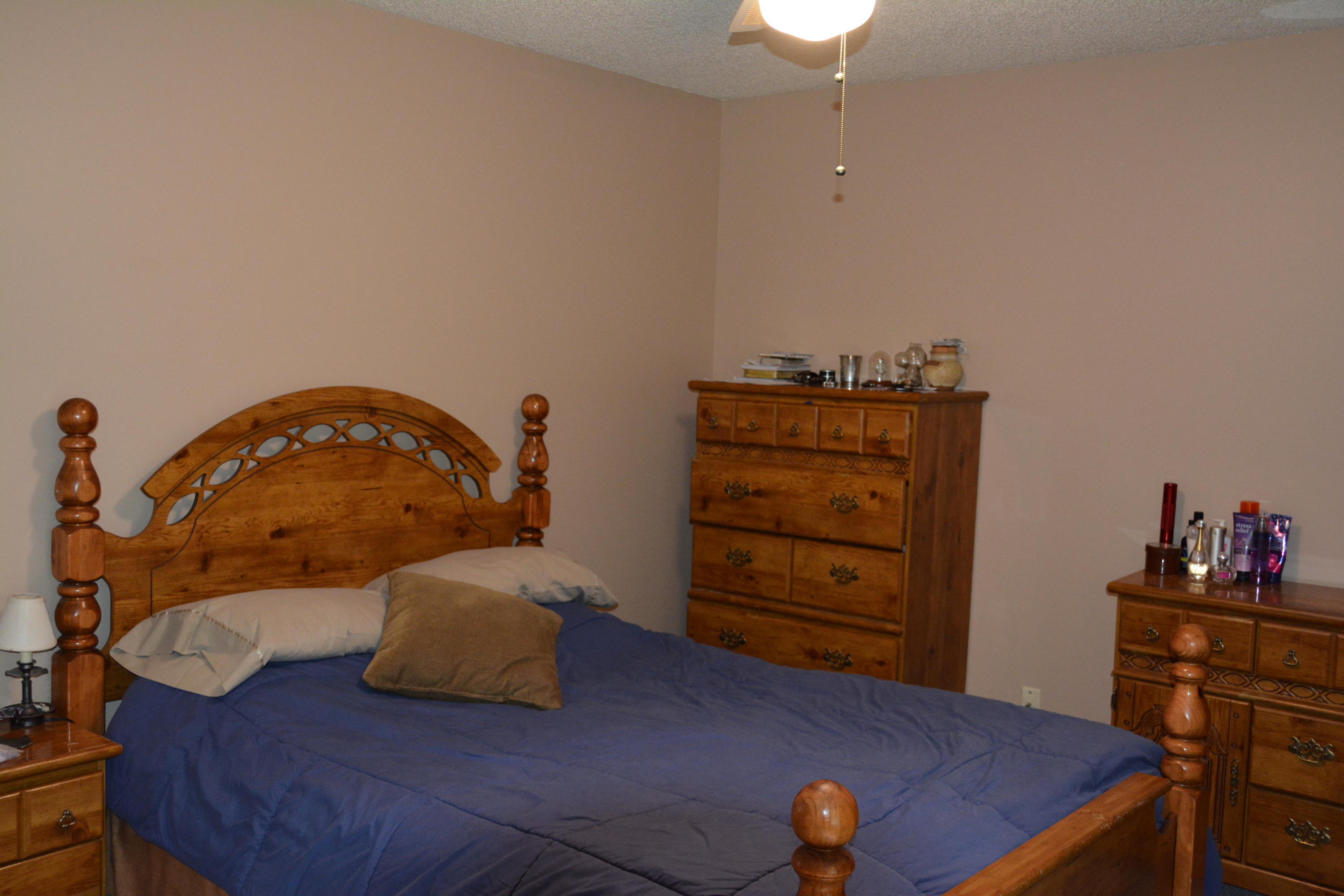 5012 Inskip Road Knoxville, TN 37912 - Photo 17 of 31 DSC_1463