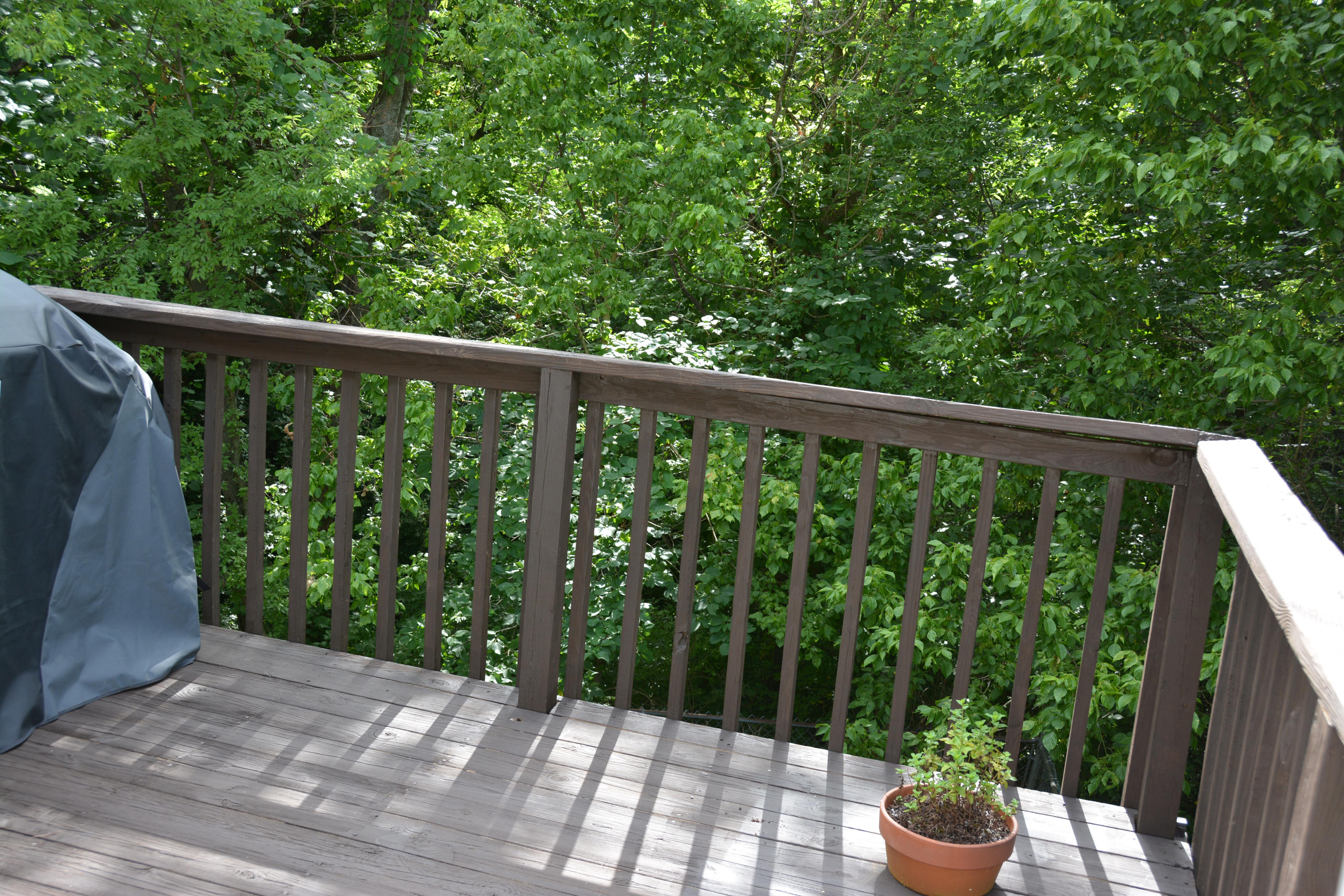 5012 Inskip Road Knoxville, TN 37912 - Photo 29 of 31 DSC_1449