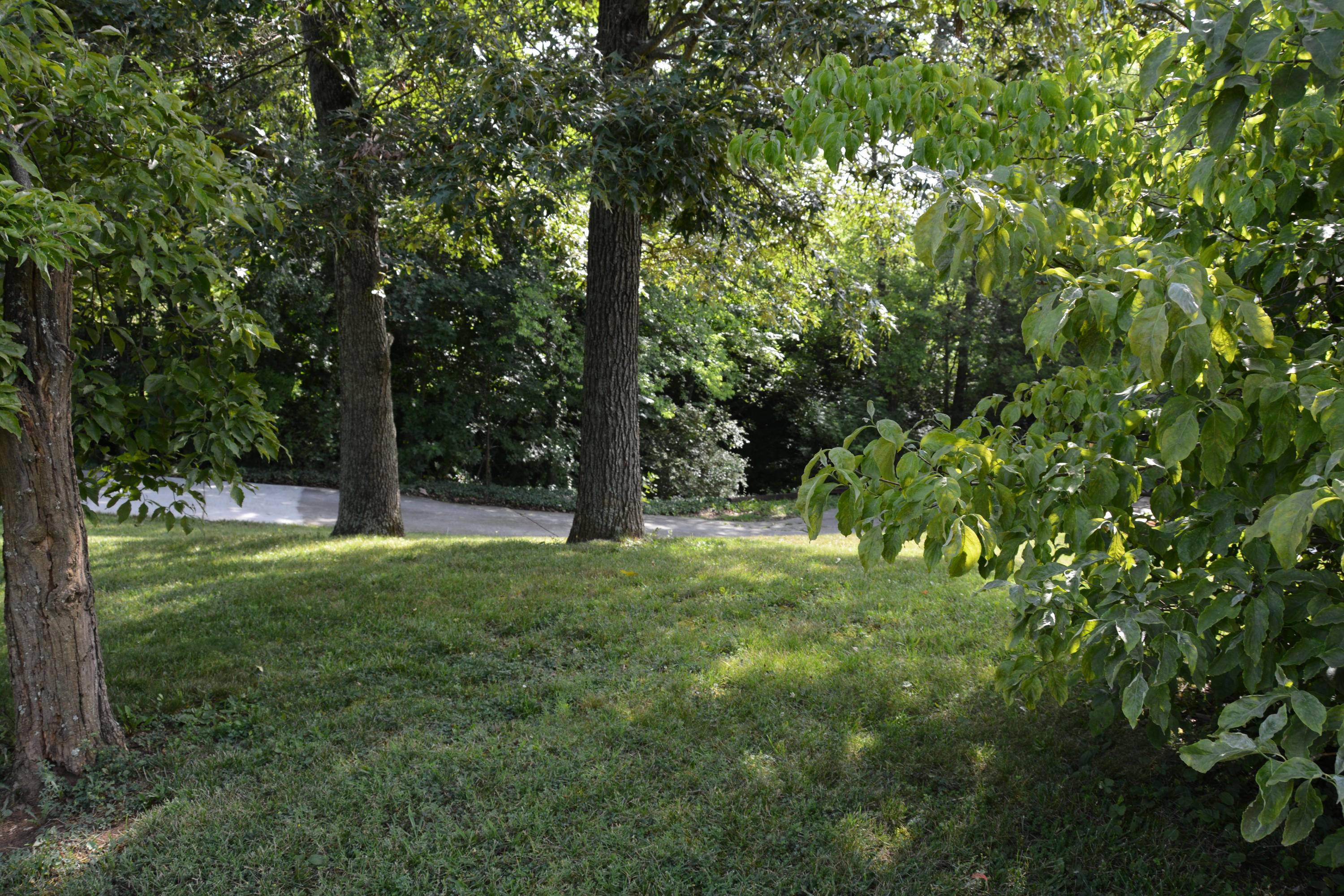 5012 Inskip Road Knoxville, TN 37912 - Photo 30 of 31 DSC_1440