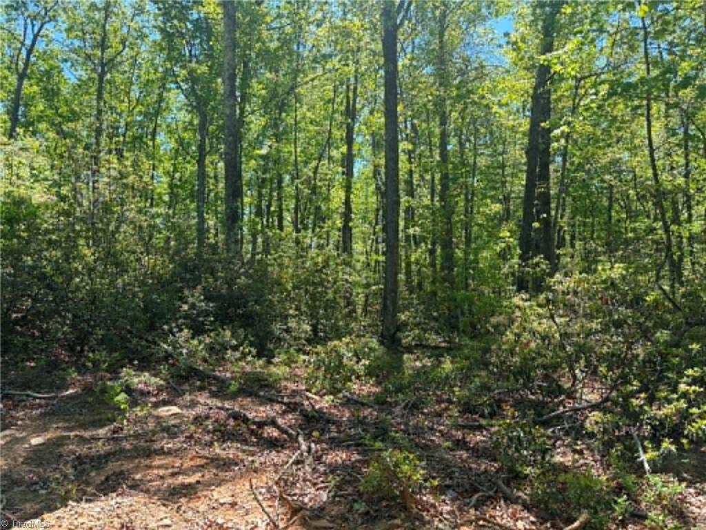 Tbd Raven Ridge Trail Dobson, NC 27017 - Photo 11 of 17