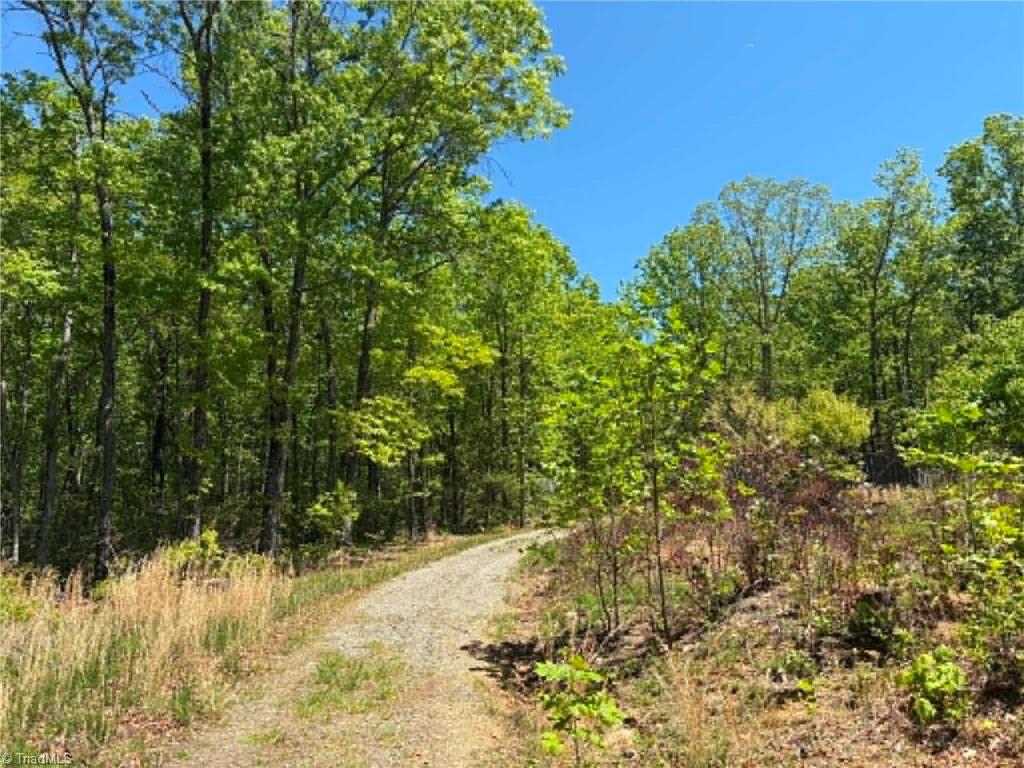 Tbd Raven Ridge Trail Dobson, NC 27017 - Photo 12 of 17