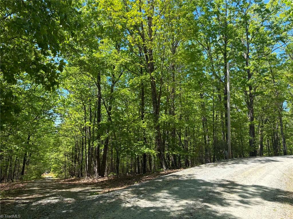 Tbd Raven Ridge Trail Dobson, NC 27017 - Photo 14 of 17