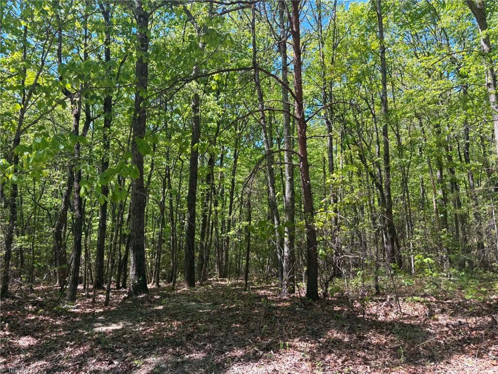 Tbd Raven Ridge Trail Dobson, NC 27017 - Photo 15 of 17