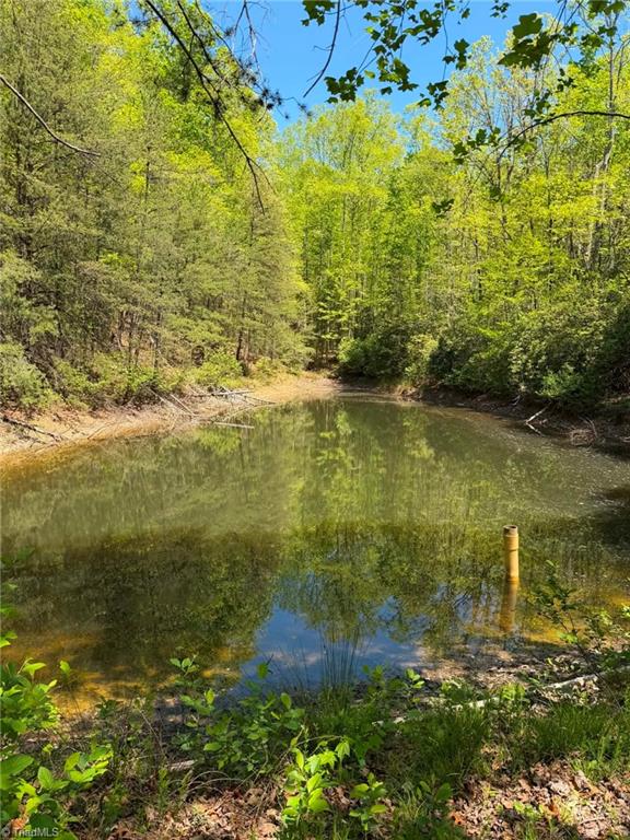 Tbd Raven Ridge Trail Dobson, NC 27017 - Photo 16 of 17