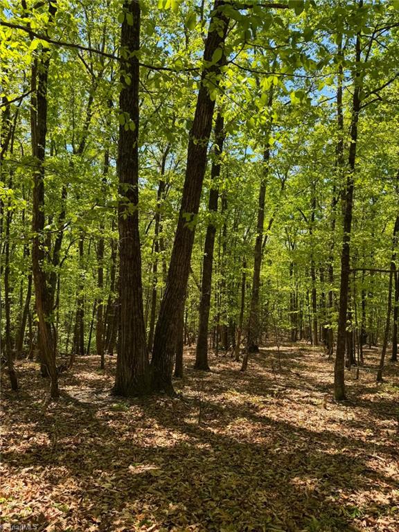 Tbd Raven Ridge Trail Dobson, NC 27017 - Photo 2 of 17
