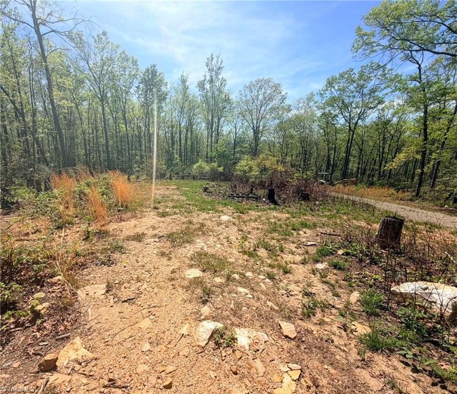 Tbd Raven Ridge Trail Dobson, NC 27017 - Photo 3 of 17