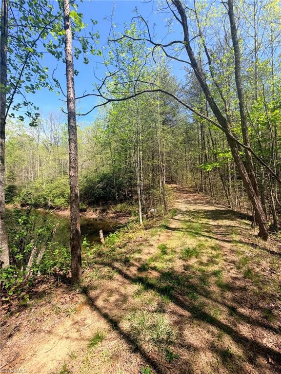 Tbd Raven Ridge Trail Dobson, NC 27017 - Photo 5 of 17