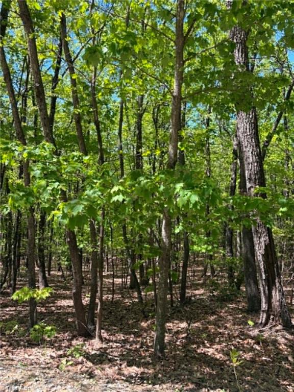 Tbd Raven Ridge Trail Dobson, NC 27017 - Photo 7 of 17