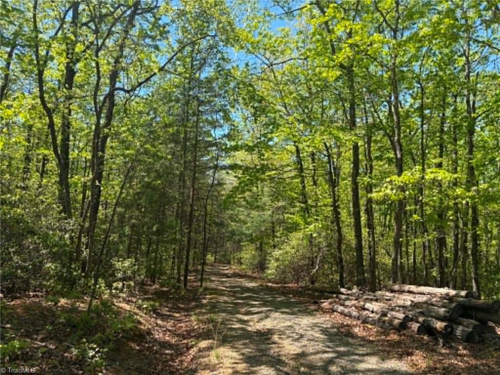 Tbd Raven Ridge Trail Dobson, NC 27017 - Photo 10 of 17