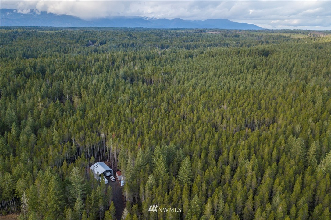 90 Northeast Pine Camp Road Belfair, WA 98528 - Photo 2 of 22 Gallery Image 2