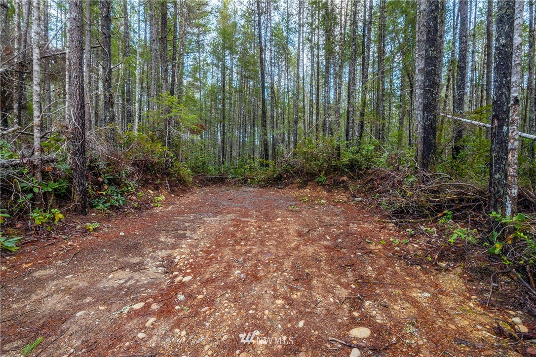 90 Northeast Pine Camp Road Belfair, WA 98528 - Photo 12 of 22 Gallery Image 12