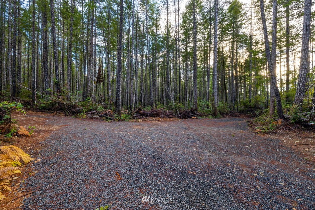 90 Northeast Pine Camp Road Belfair, WA 98528 - Photo 13 of 22 Gallery Image 13