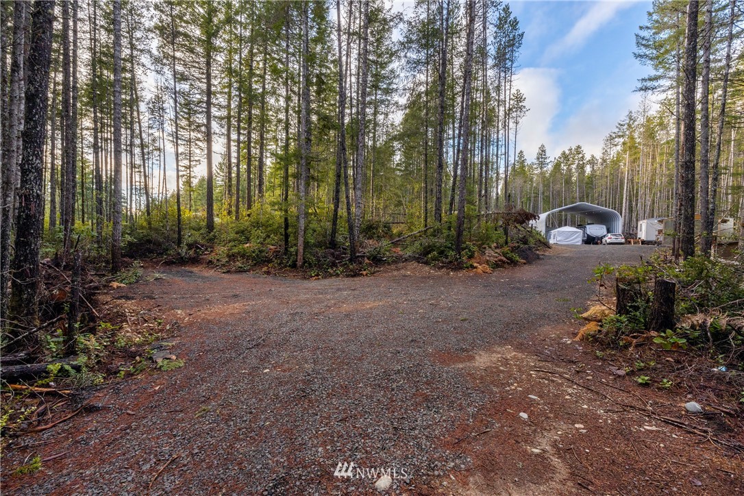 90 Northeast Pine Camp Road Belfair, WA 98528 - Photo 14 of 22 Gallery Image 14