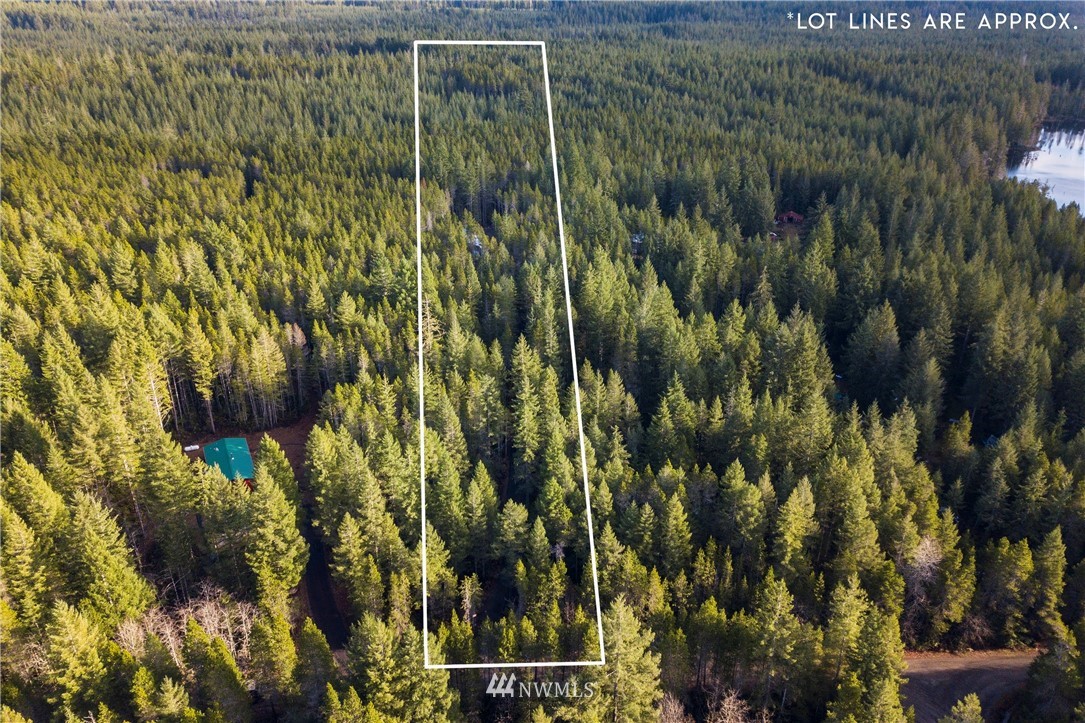90 Northeast Pine Camp Road Belfair, WA 98528 - Photo 20 of 22 Gallery Image 20
