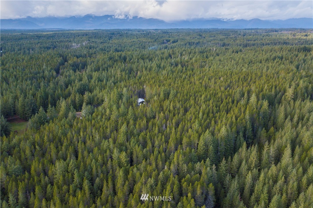90 Northeast Pine Camp Road Belfair, WA 98528 - Photo 22 of 22 Gallery Image 22