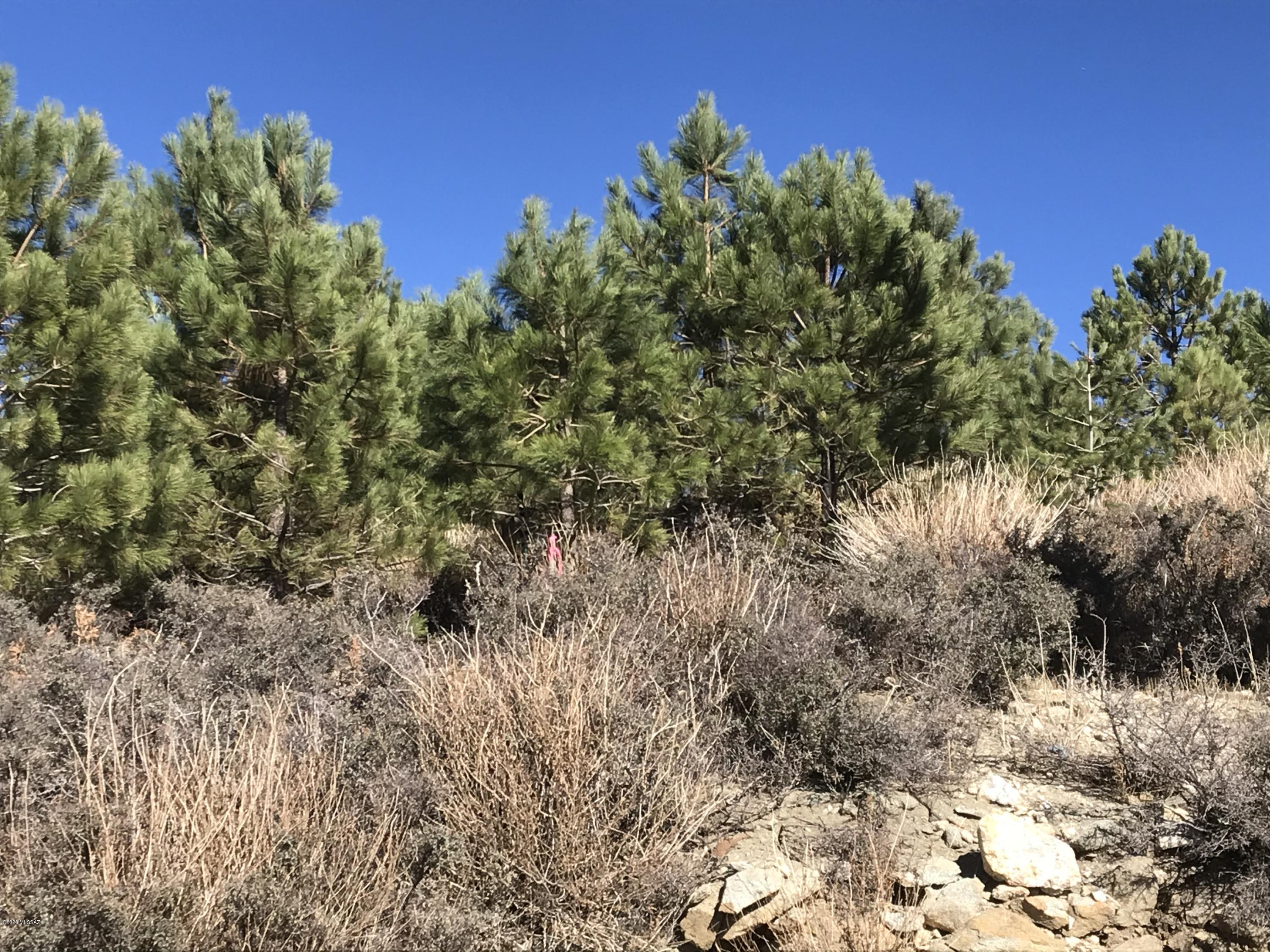 12986 Yuma Road, Unit 4 5 Mount Lemmon, AZ 85619 - Photo 6 of 11