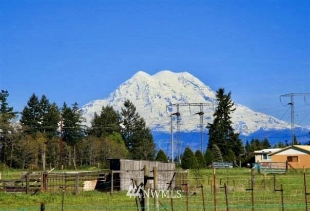 14531 Mud Run Road Southeast Yelm, WA 98597 - Photo 2 of 40 Gallery Image 2