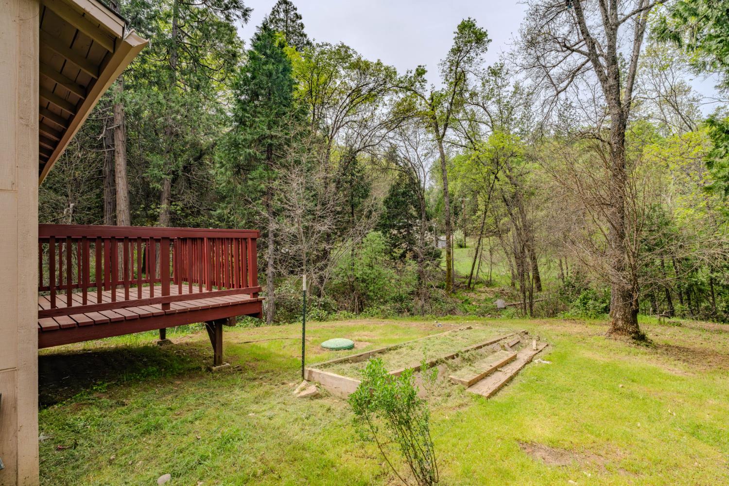67 Winton Road West Point, CA 95255 - Photo 25 of 28 a view of a park with large trees
