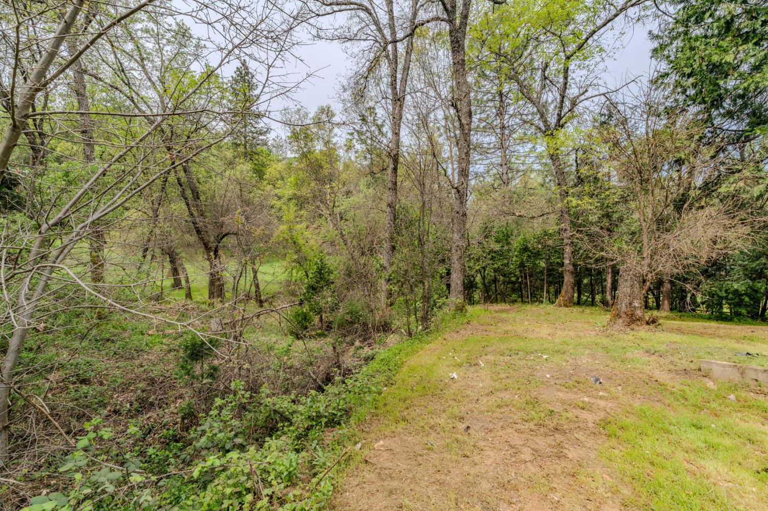 67 Winton Road West Point, CA 95255 - Photo 27 of 28 a view of outdoor space with trees