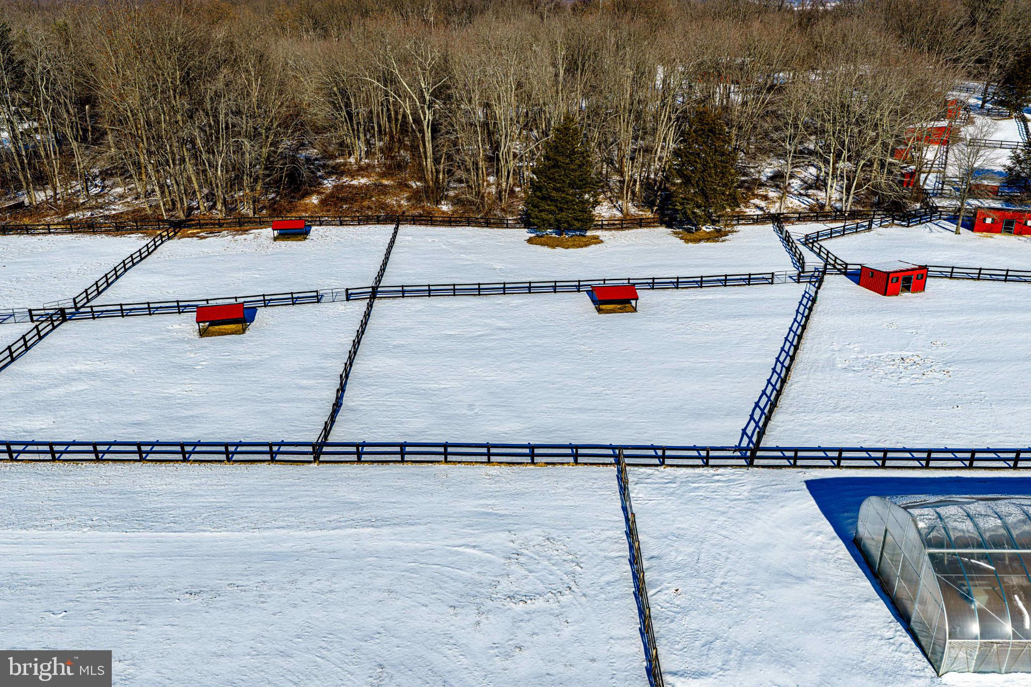 1221 Prospect Mill Road Bel Air, MD 21015 - Photo 16 of 81 7 rotatable pastures with 3 rail hardwood fencing.