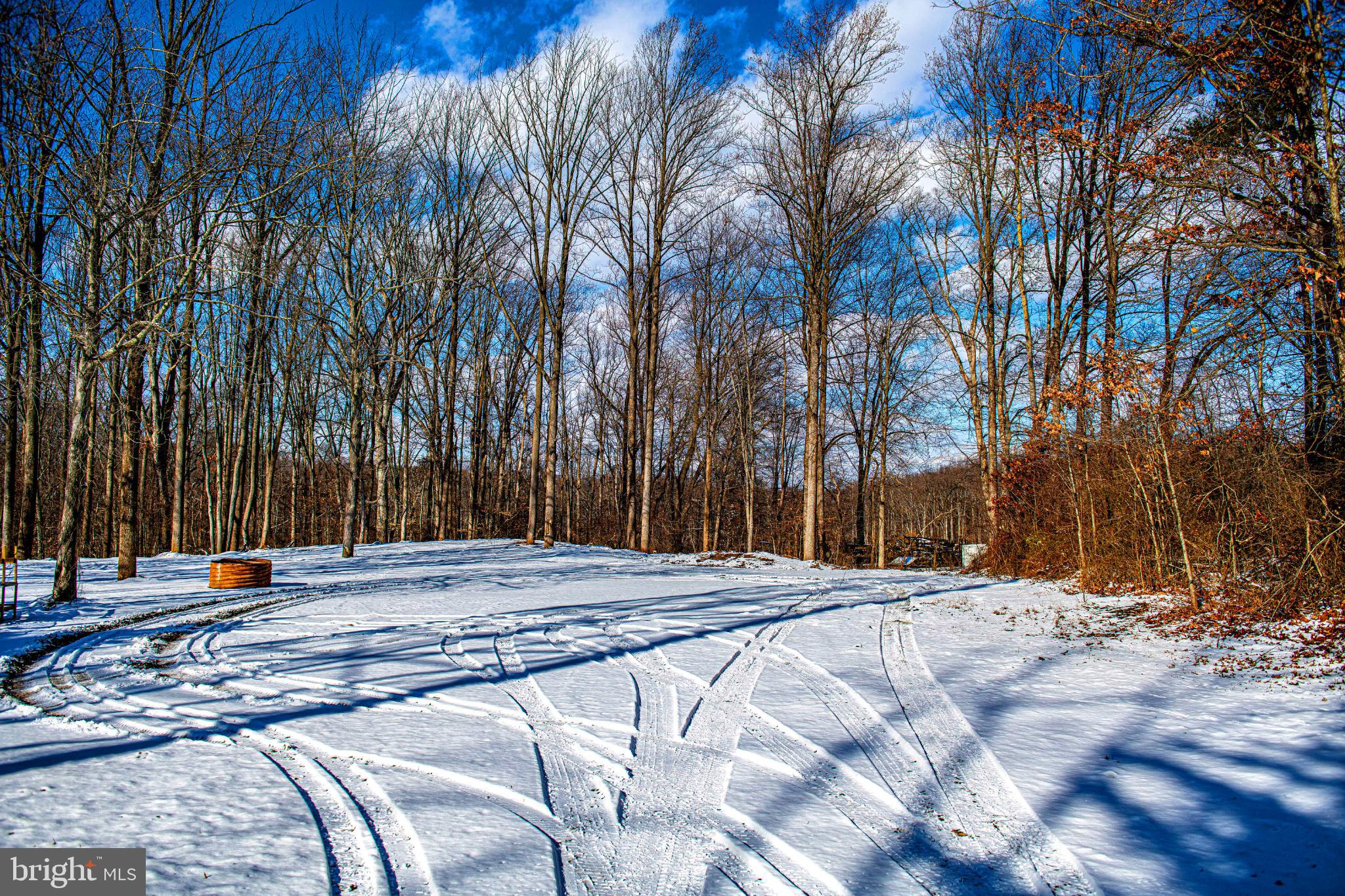 1221 Prospect Mill Road Bel Air, MD 21015 - Photo 18 of 81 a view of a backyard with large trees