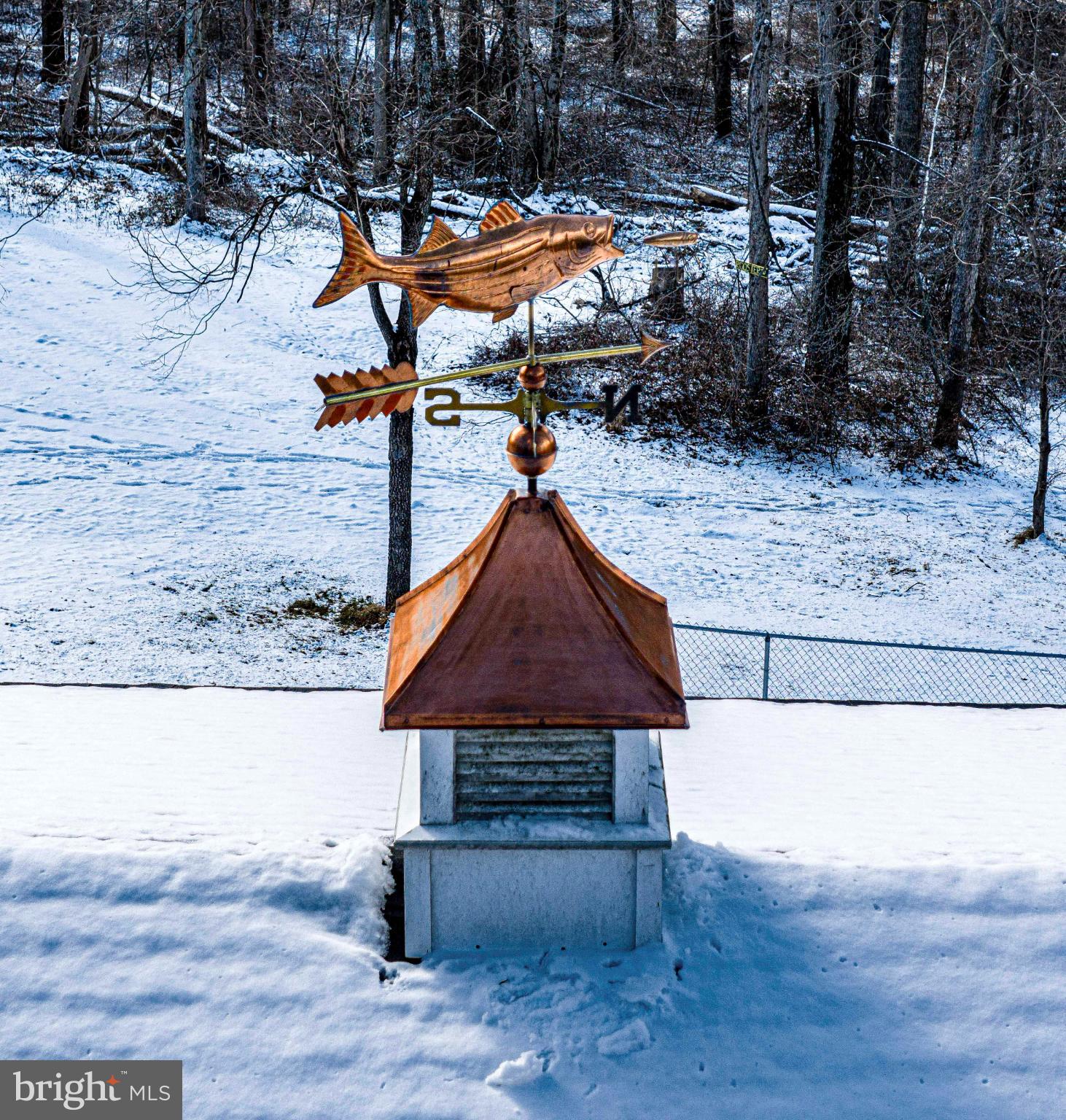 1221 Prospect Mill Road Bel Air, MD 21015 - Photo 41 of 81 Whimsical weather vane