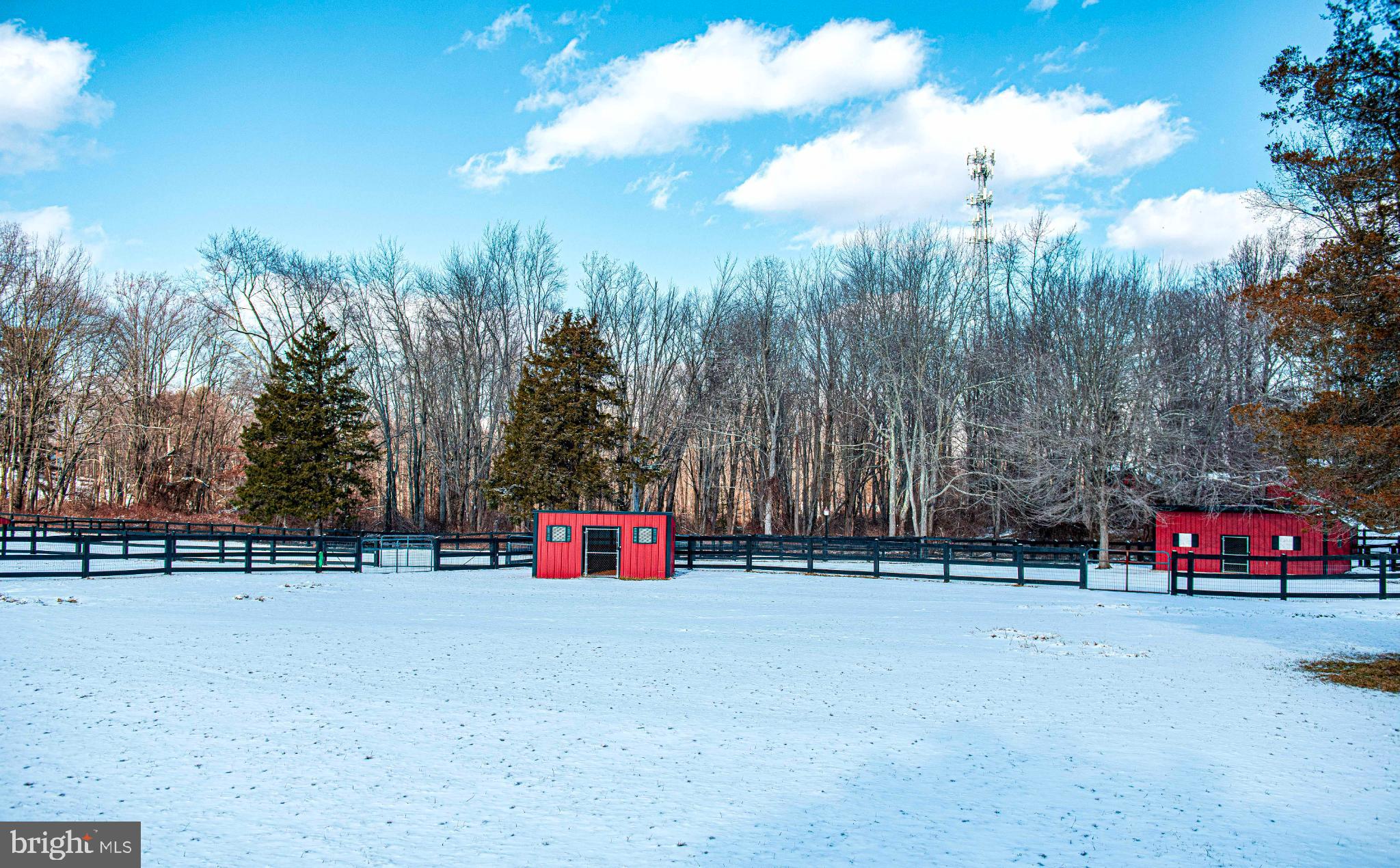 1221 Prospect Mill Road Bel Air, MD 21015 - Photo 61 of 81 Snow covered pastures.