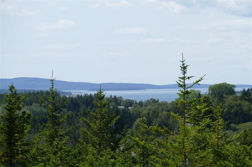 12 Minturn Road Swans Island, ME 04685 - Photo 8 of 8 Photo