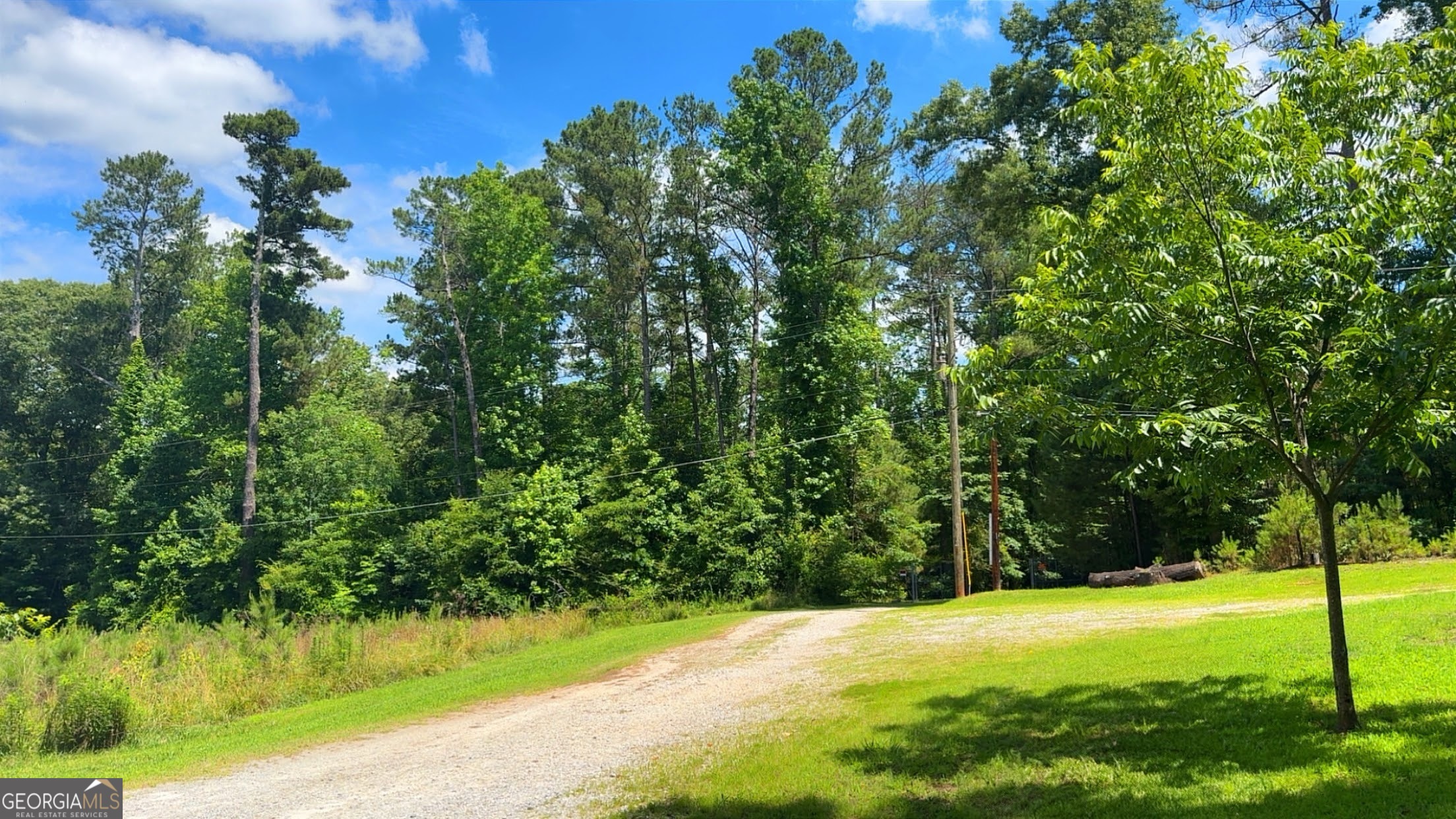 484 Riverside Road Tallapoosa, GA 30176 - Photo 12 of 43