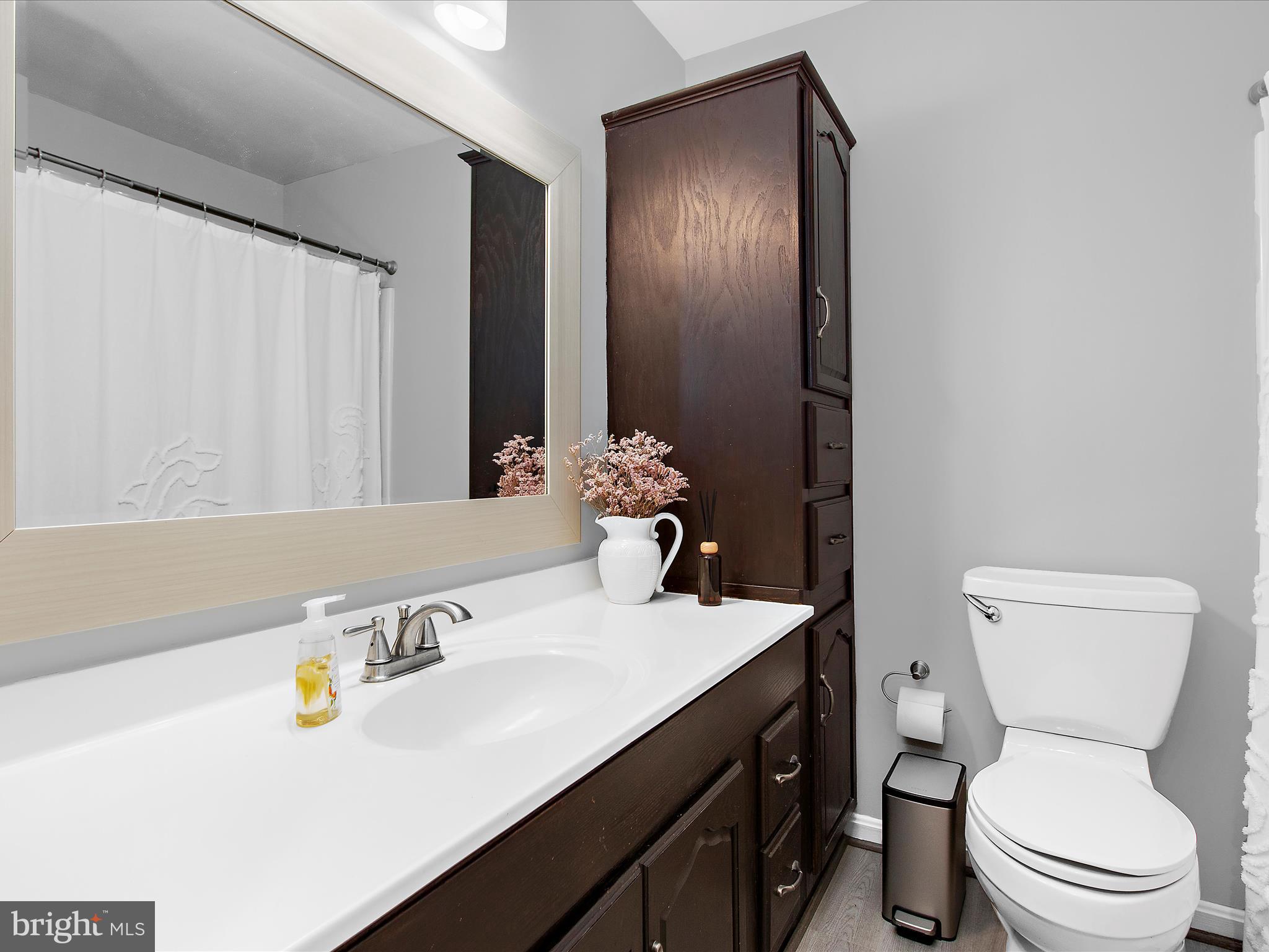 1217 Somerset Road Severn, MD 21144 - Photo 17 of 86 a bathroom with a sink a toilet and a mirror