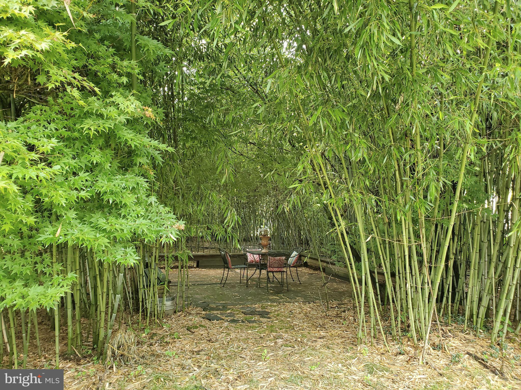 11 Quaker Road Princeton Junction, NJ 08550 - Photo 63 of 75 View of Zen Room in Backyard