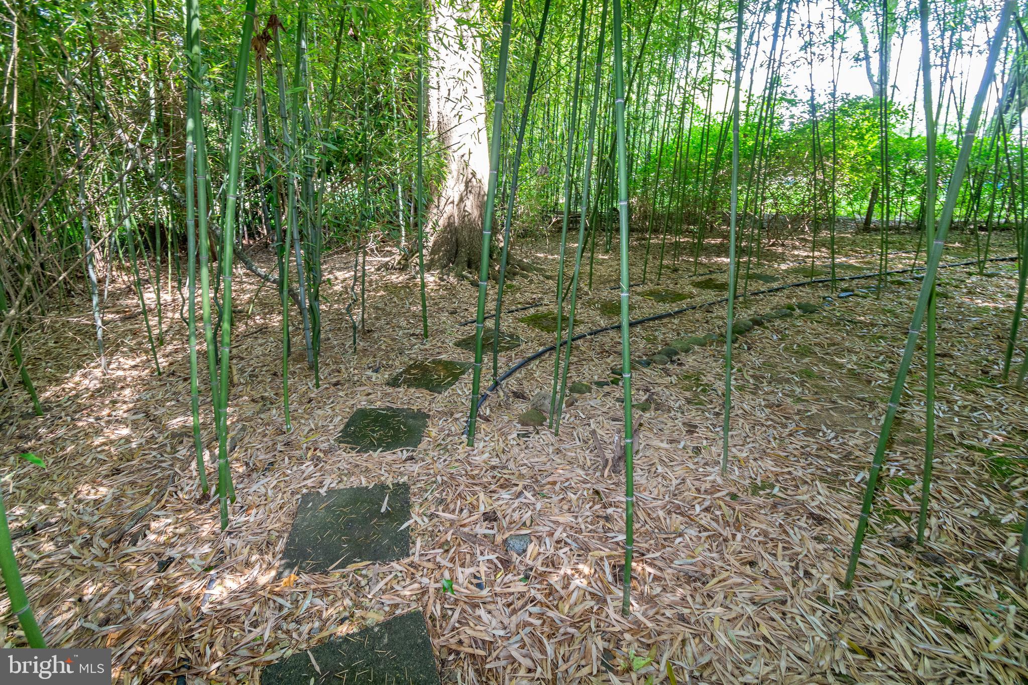 11 Quaker Road Princeton Junction, NJ 08550 - Photo 66 of 75 Path to Pool Area