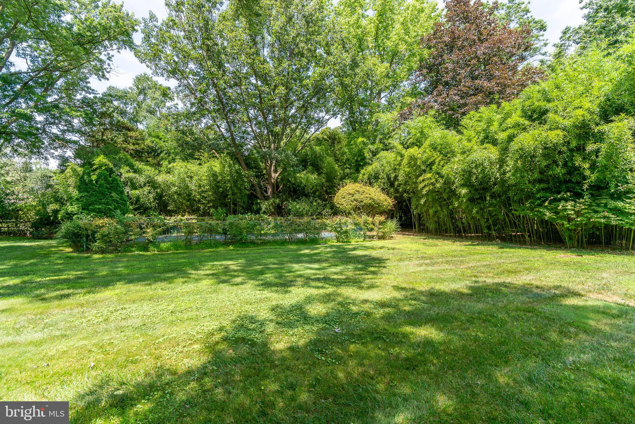 11 Quaker Road Princeton Junction, NJ 08550 - Photo 70 of 75 View of Mature landscaping