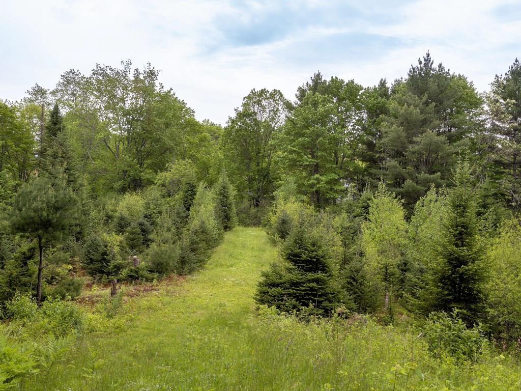 239 Tuttle Road Cumberland Center, ME 04021 - Photo 17 of 28 Photo