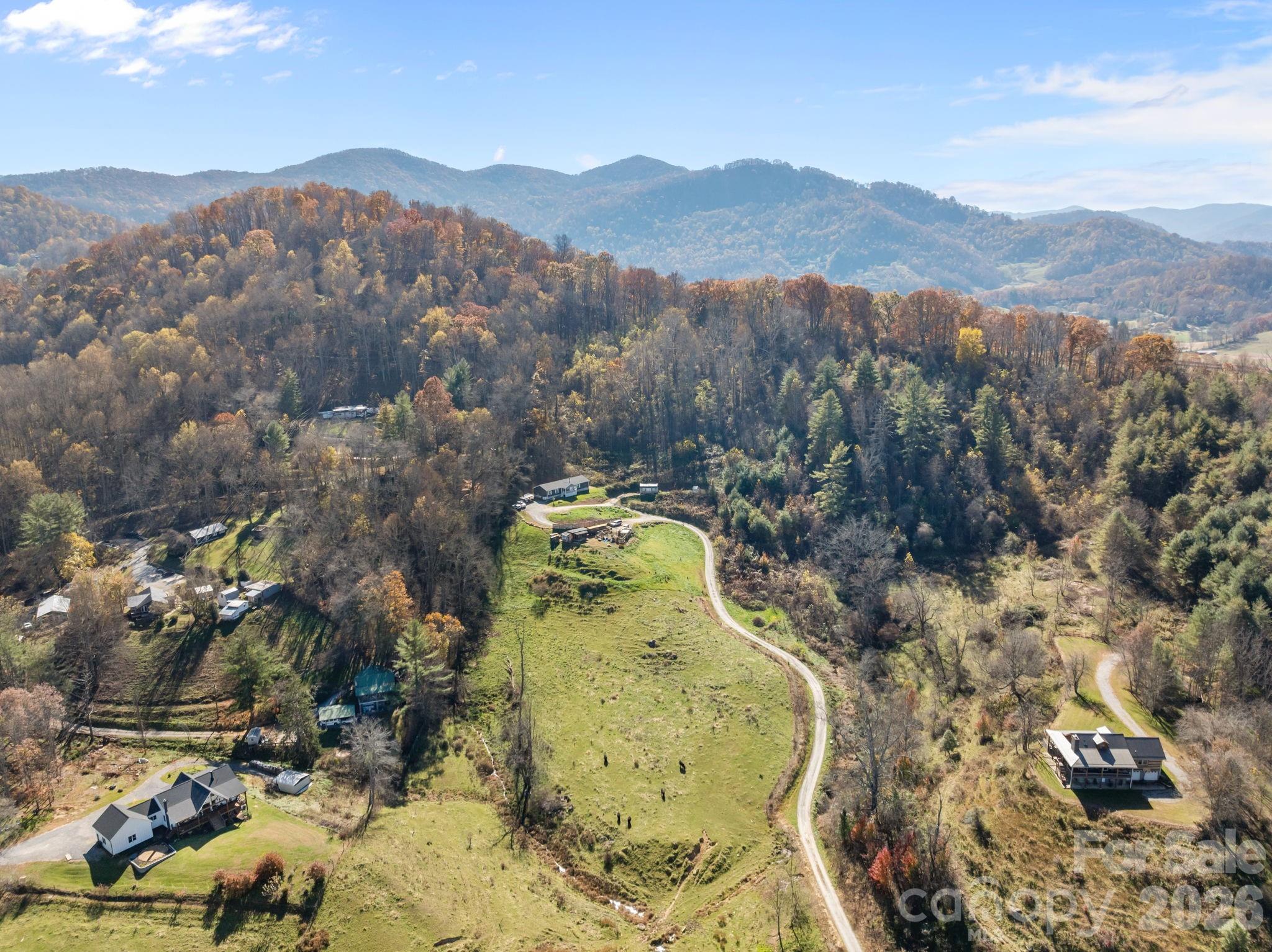 94 Leopard Drive Waynesville, NC 28786 - Photo 2 of 42