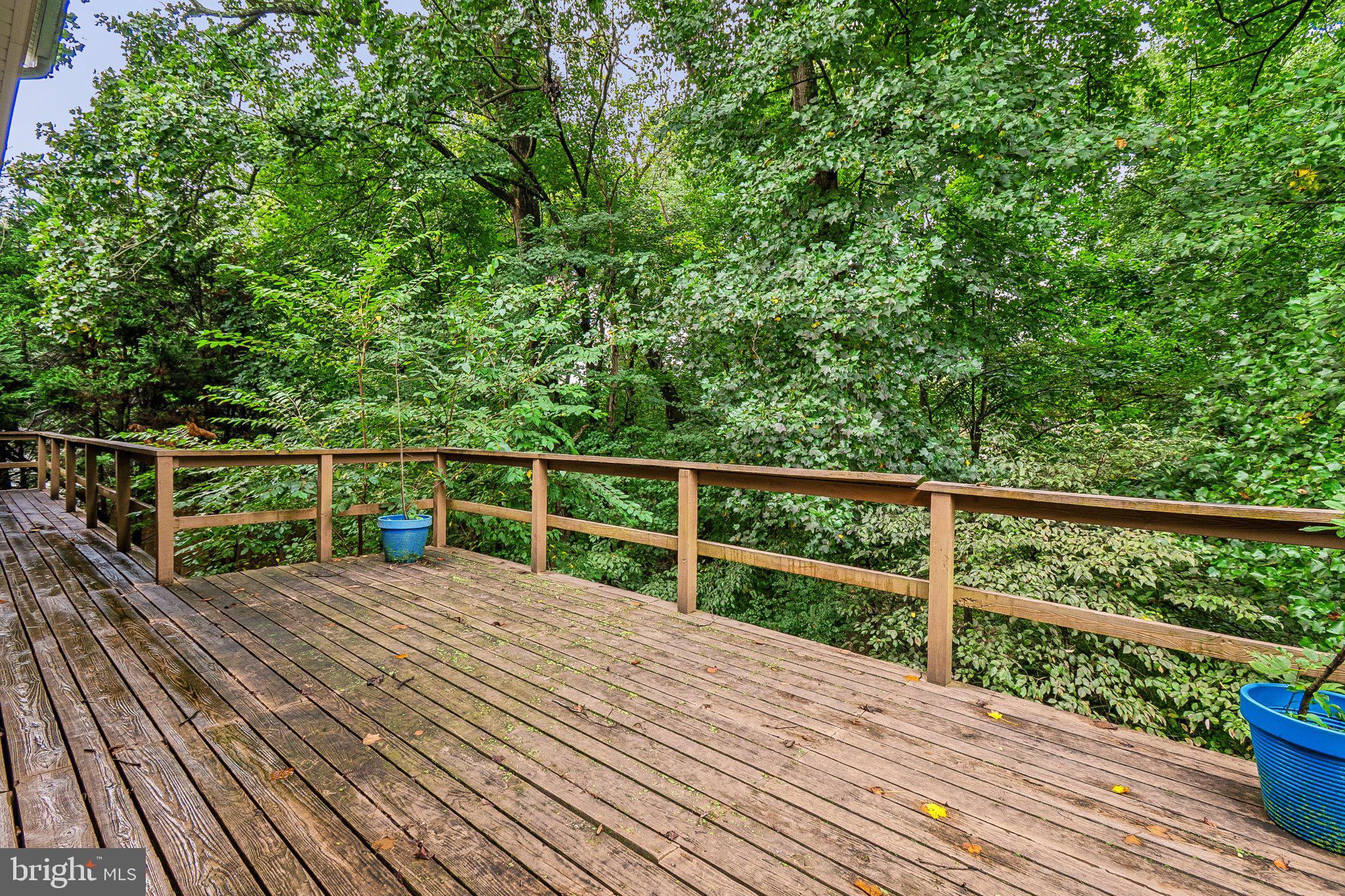 12610 Eldrid Court Silver Spring, MD 20904 - Photo 4 of 29 Gallery Image 4