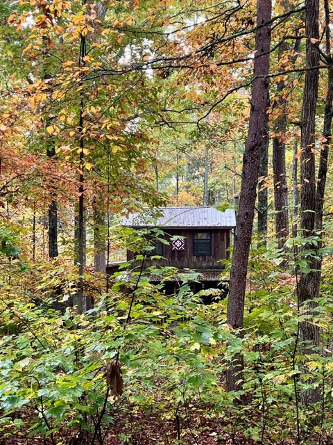 224 Pine Bough Road Murphy, NC 28906 - Photo 17 of 21