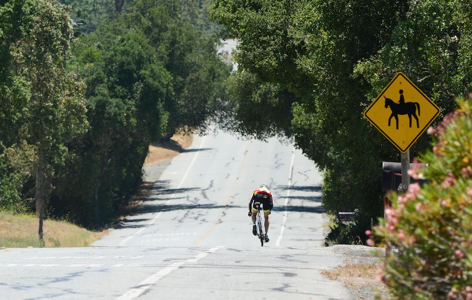 175 Alta Mesa Road Woodside, CA 94062 - Photo 32 of 38