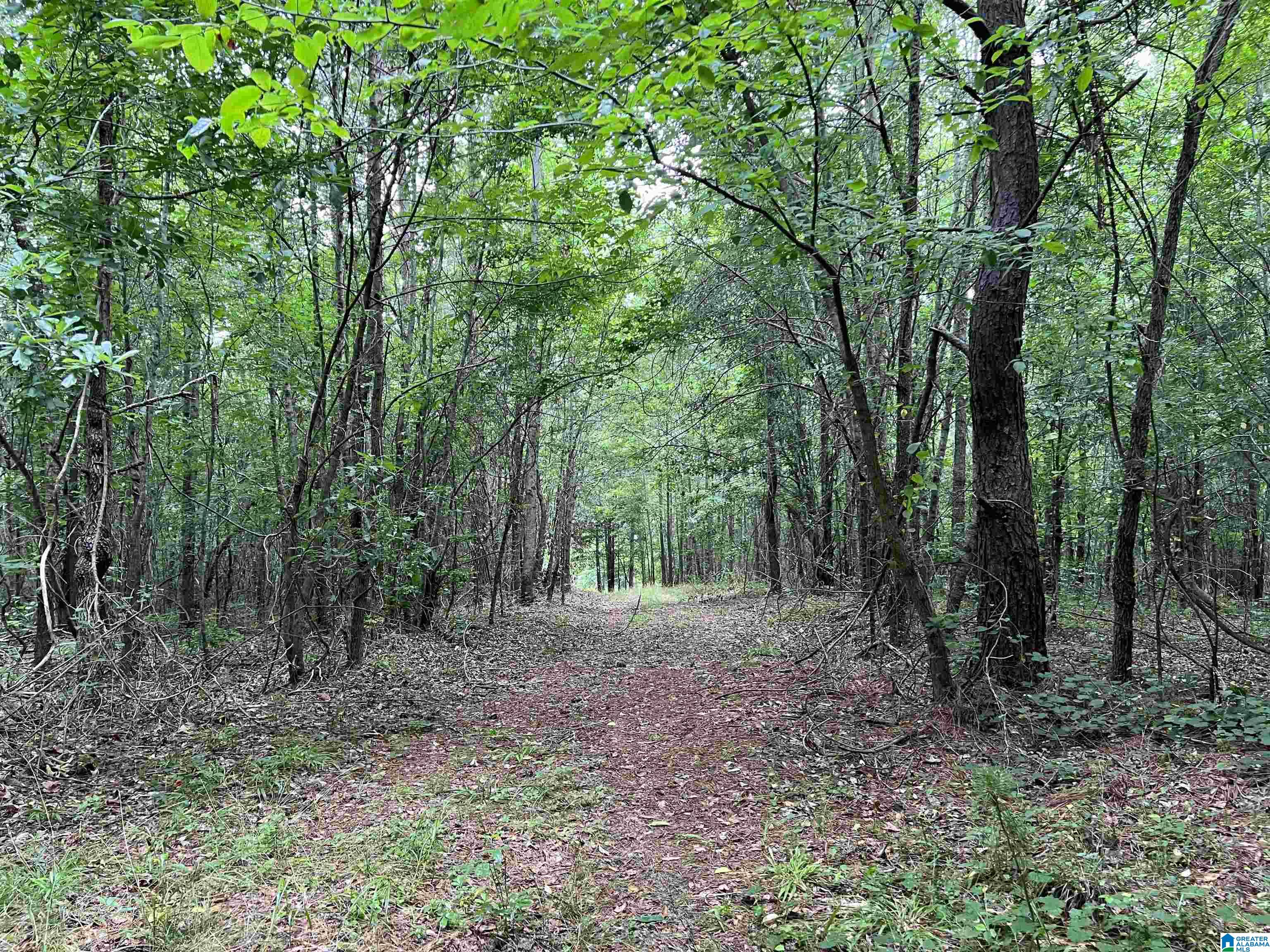 9-acres Mahaffey Road, Unit 9 ACRES Eastaboga, AL 36260 - Photo 2 of 7
